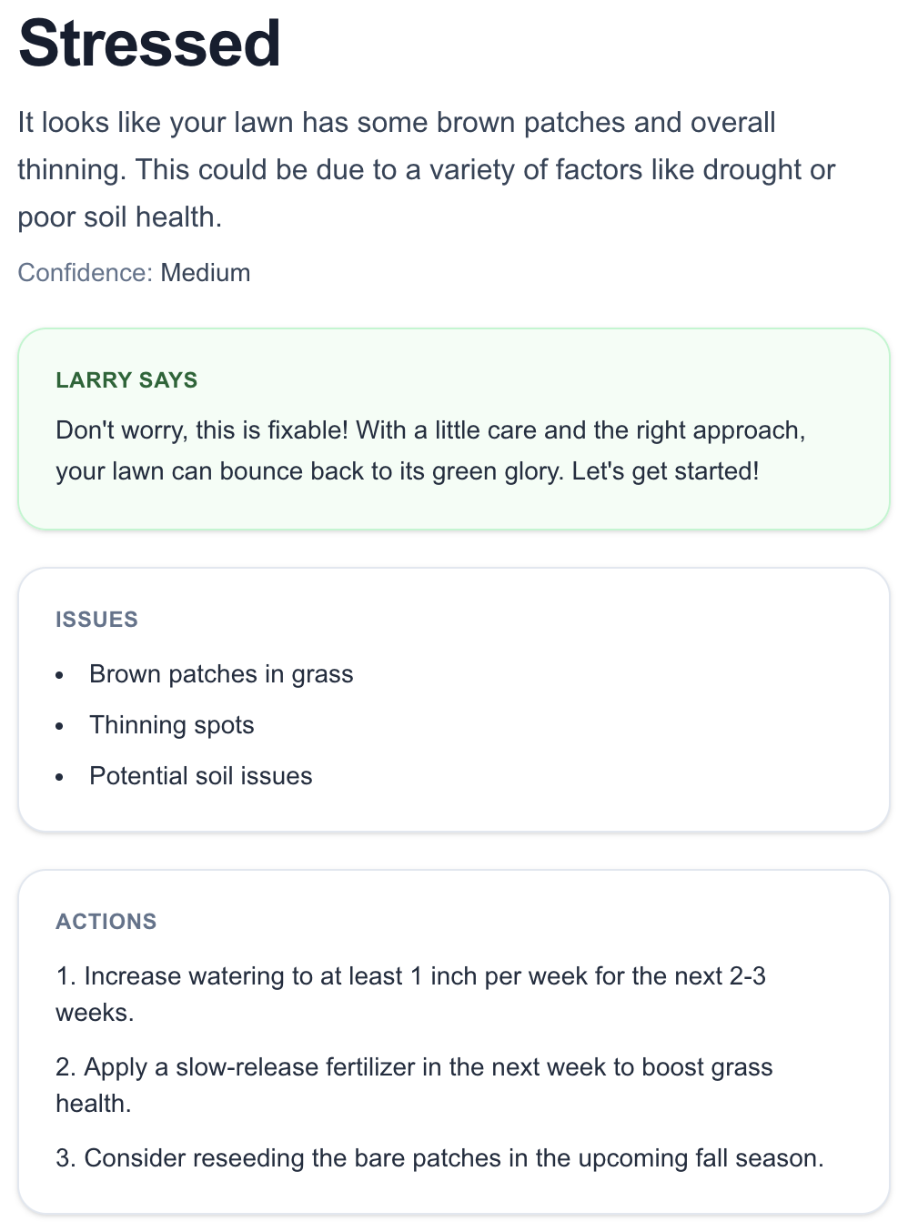 Example: Larry’s diagnosis with summary, confidence, issues, and action steps